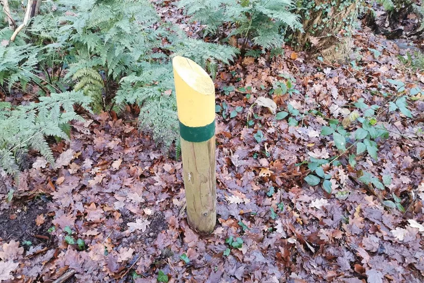 wandelroute appelbergen glimmen