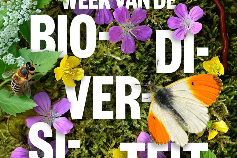 weekvdbiodiversiteit 1080x1080 media