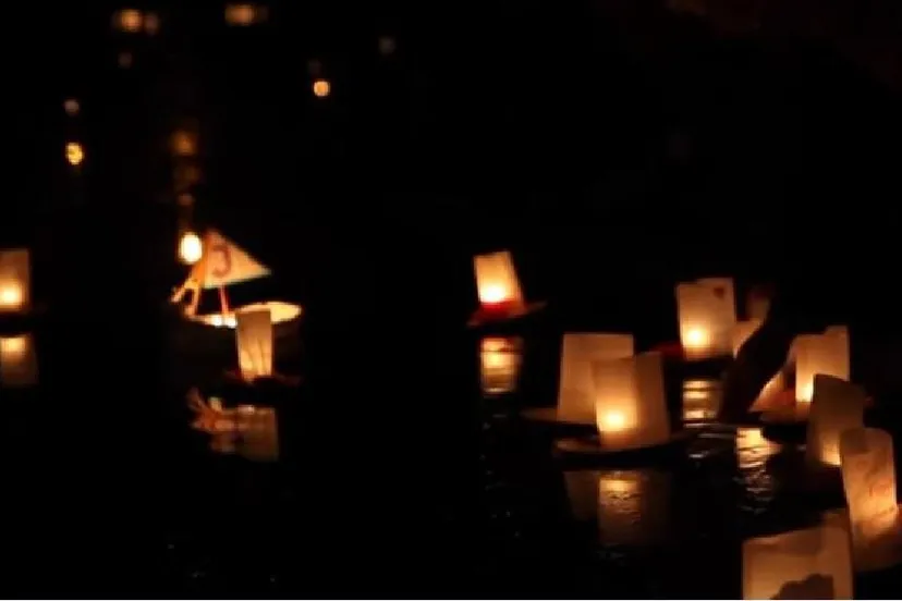 wereldlichtjesdag noorderplantsoen you tube beeldcitaat sanne van renesse2 e1544299517228