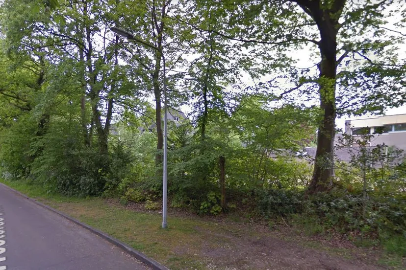 westerse drift haren