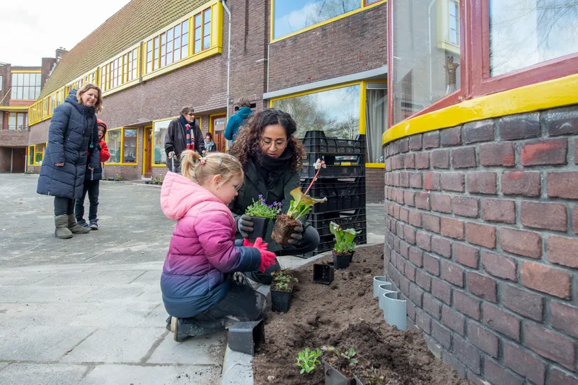 wethouder chakor bij 3000ste geveltuintje erik brand