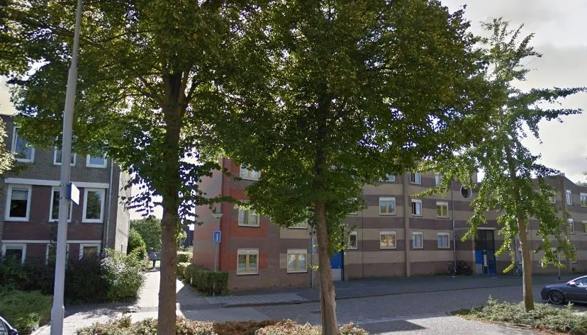 wibenaheerd nijesteinheerd groningen