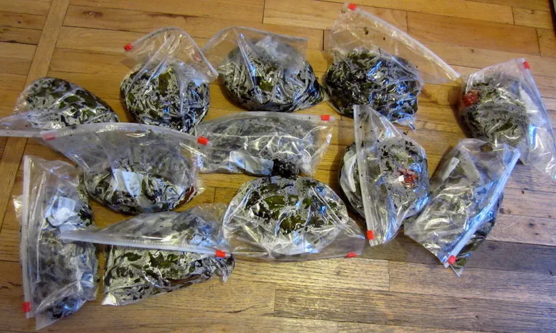 wiet zakjes cc by 30