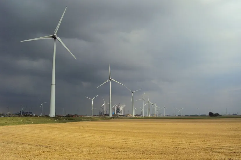 wind turbines near eemshaven panoramio cc by sa 30 wikipedia commons hilverd reker