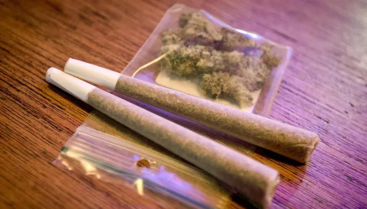 wo2oge5adf5ockxhwvwr2o2d1 hq novum freek van den bergh wiet joint 715x408