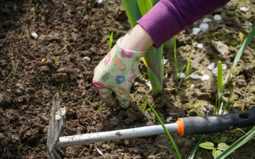 work in the garden 2432111 1280 tuin onkruid schoffelen 915x518 nl doet
