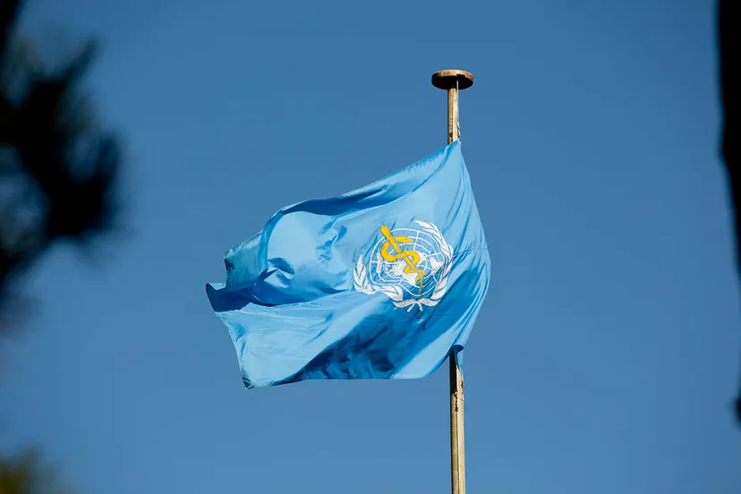 world health organization flag by united states mission geneva flickr world health organization headquarters and flag licensed under cc by 20 via wikimedia commons file world health organization