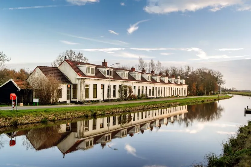 woudbloem foto henk veenstra