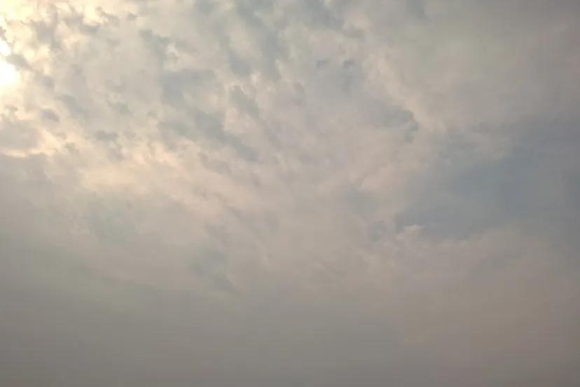 wp 20150814 10 55 17 pro