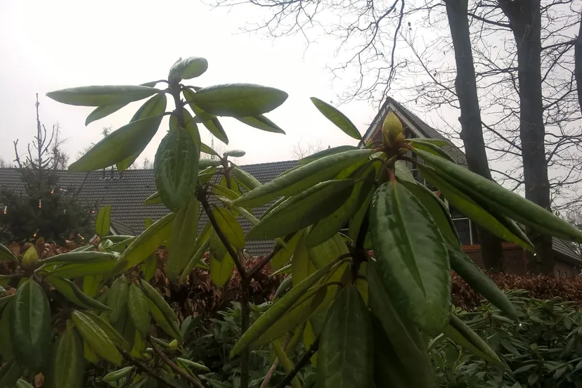 wp 20151227 11 59 07 pro 2