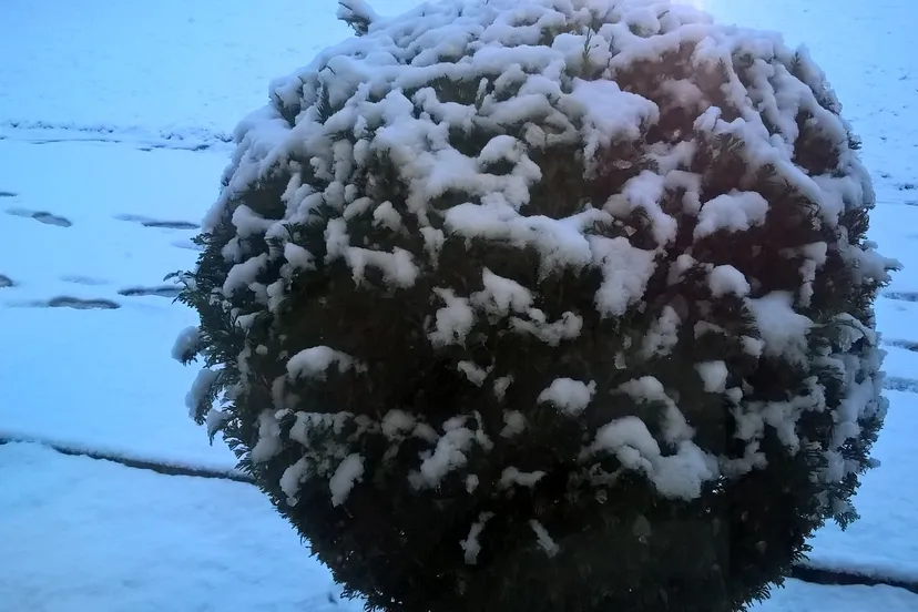 wp 20160116 08 35 28 pro