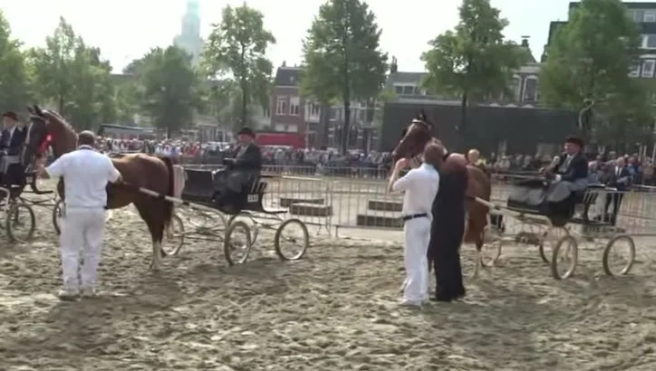 you tube beeld citaat jan eggens gronings ontzet 28 8 2015 ossenmarkt