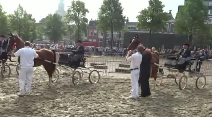 you tube beeldcitaat jan eggens gronings ontzet 28 8 2015 ossenmarkt 1