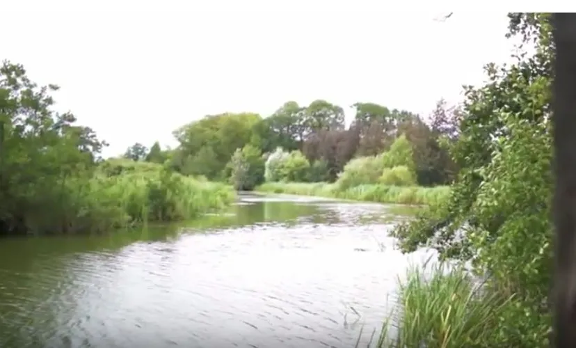 you tube beeldcitaat voedselbos glimmen