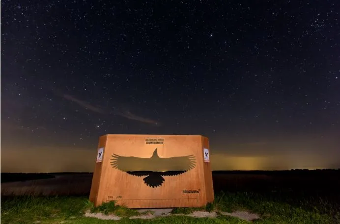 zeearend bij nacht 1