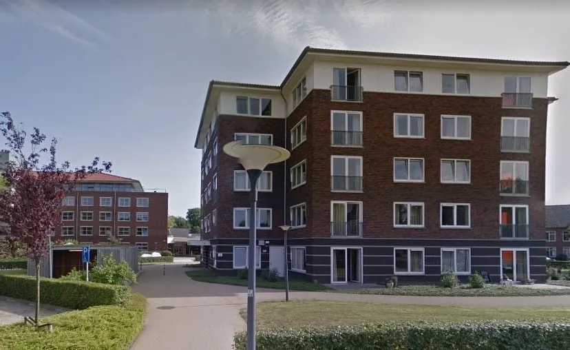 zinn de dilgt 3 haren1 e1541498005616