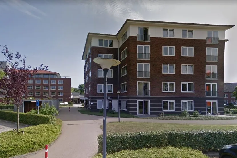 zinn de dilgt 3 haren1