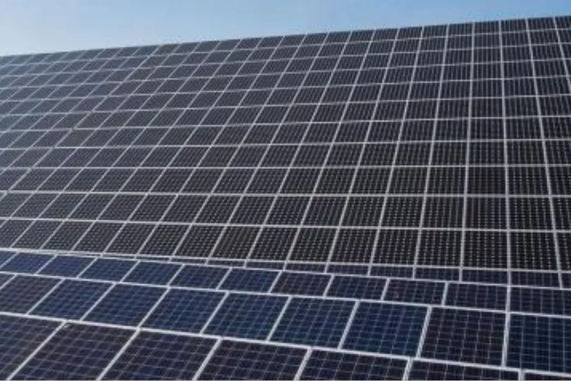 zon op bedrijfsdaken