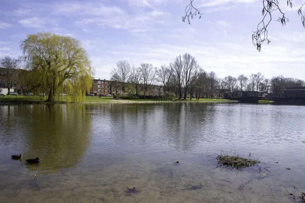zuidelijke pioenvijver oosterparkwijk