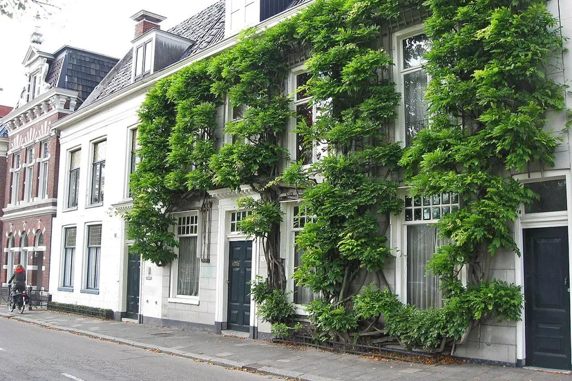groningen noorderhaven 5 rijksmonument cc by sa 30 cwkramer
