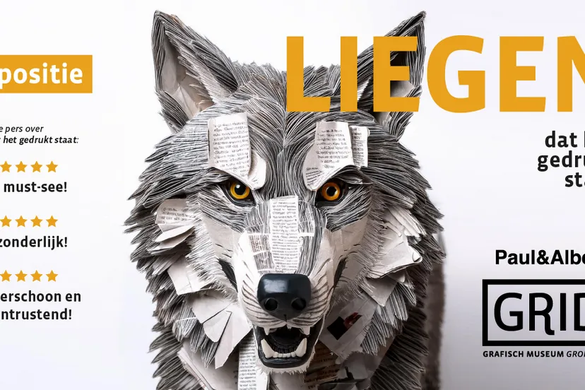 liggend campagnebeeld grid