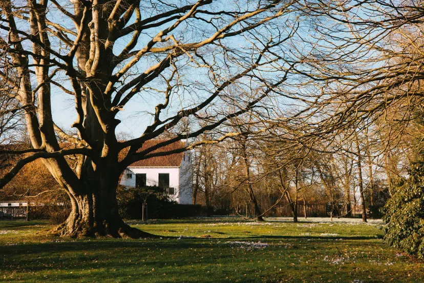 micro podcast de provincie stelladekker