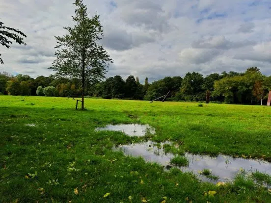 unnamed 2024 10 07t091142906