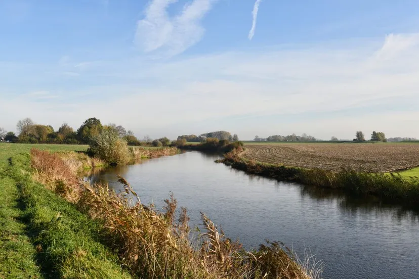 klimaatadaptatie nb 1024x683