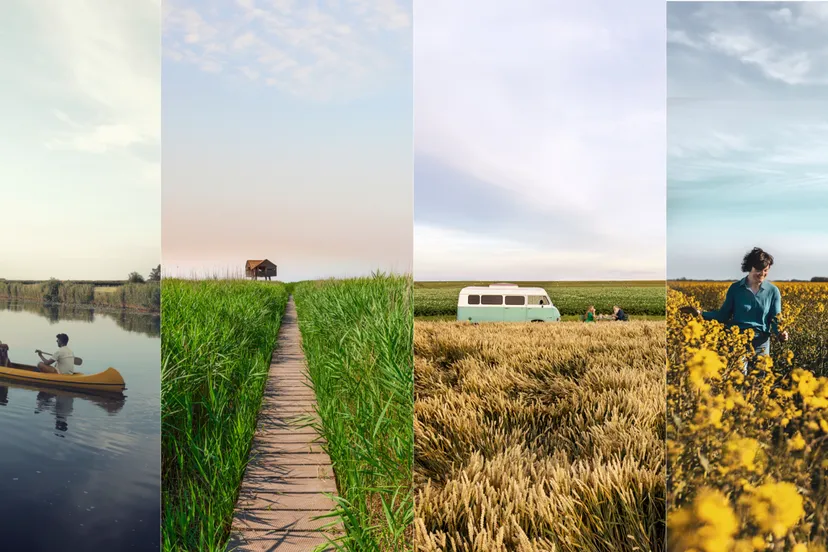 beeld ontdek wat je hebt marketinggroningen