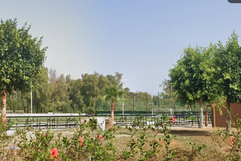 schermafbeelding 2025 01 02 140855