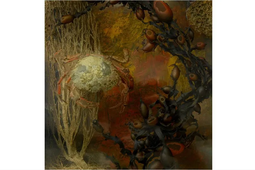 wintersalon mascha de lange krab pr