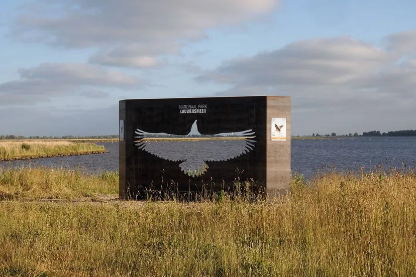kunstwerk met de zeearend lauwersmeer