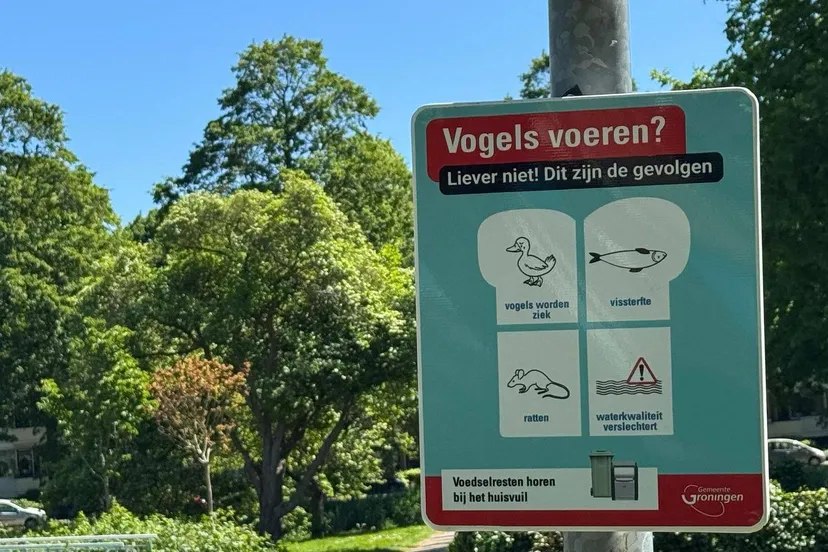 497535738 1010287811279211 6147179413736935025 n