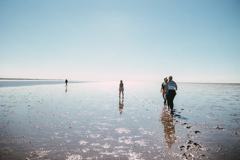 nieuws campagne e28098ontdek wat je hebte28099 inspireert