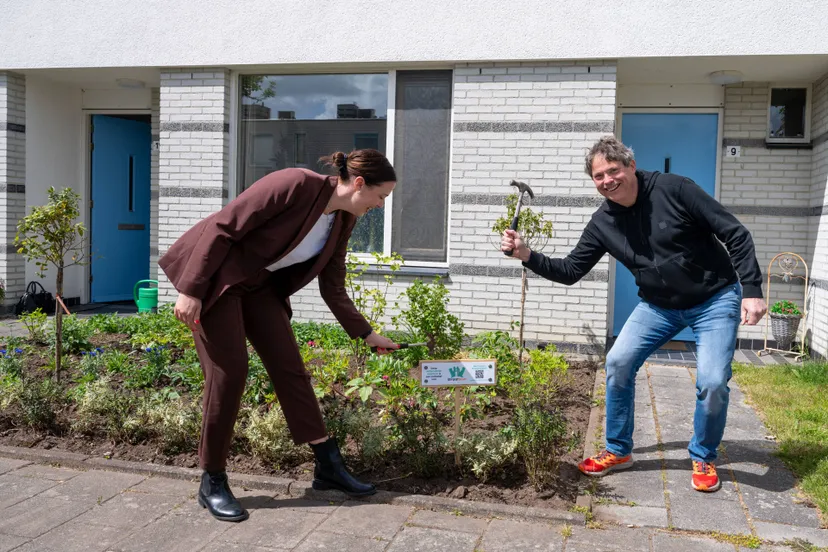 straatboer adenauerstraat