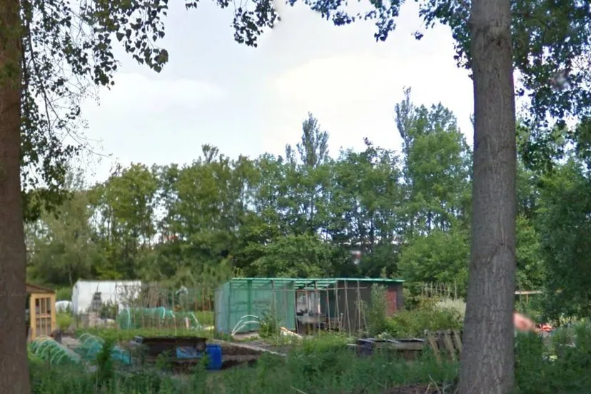 Goolden Raand volkstuin vinkhuizen