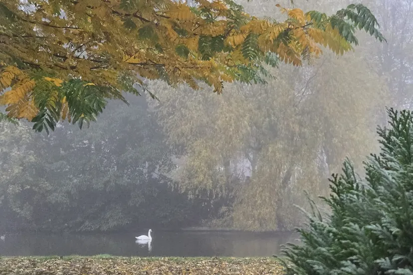 Schermafbeelding 2025-11-07 132150