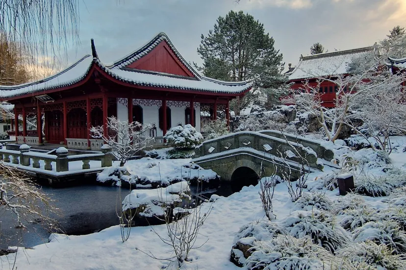 20260104_112447copie