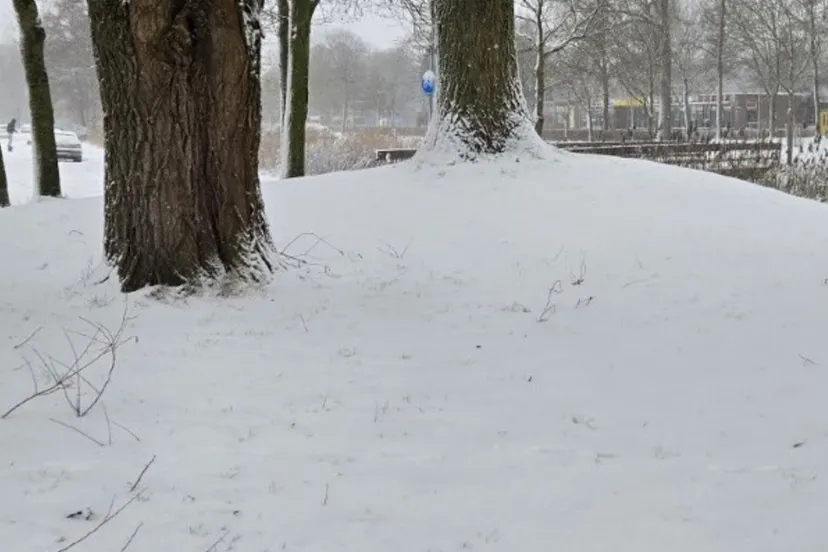 Schermafbeelding 2026-01-08 112724