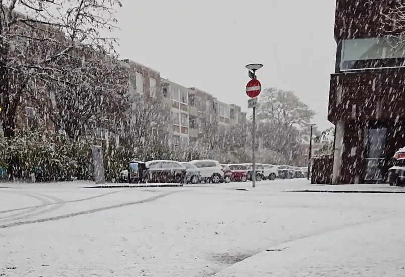 Schermafbeelding 2026-02-02 135732