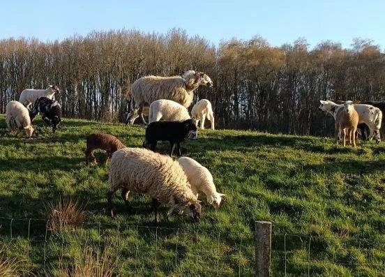 unnamed - 2026-04-10T133556.425