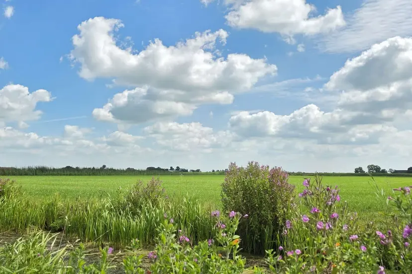 Waterbeeld 6 augustus