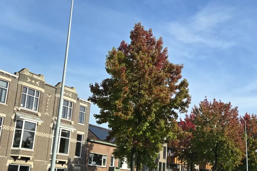 herfst groningen