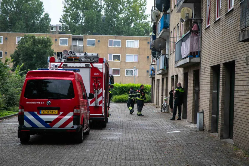 03 augustus 2020 nieuwsfoto haarlem 01