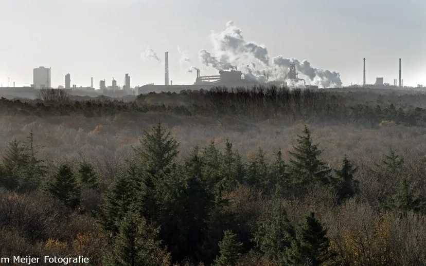 12362895 1143572612321356 7922233427441683455 o 1 915x518 1