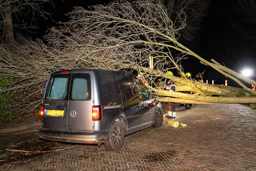 18 februari 2022 nieuwsfoto haarlem 01 1