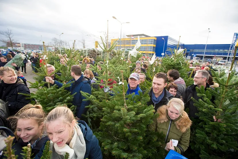 20151206 kerstboom 10