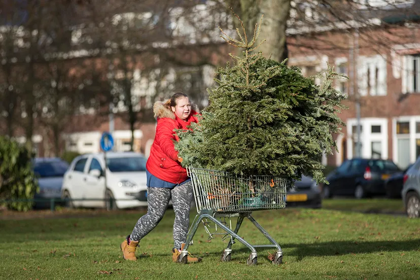 20170104 boompjes 16