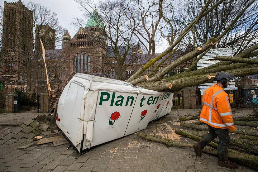 20180118 plantenkiosk 02