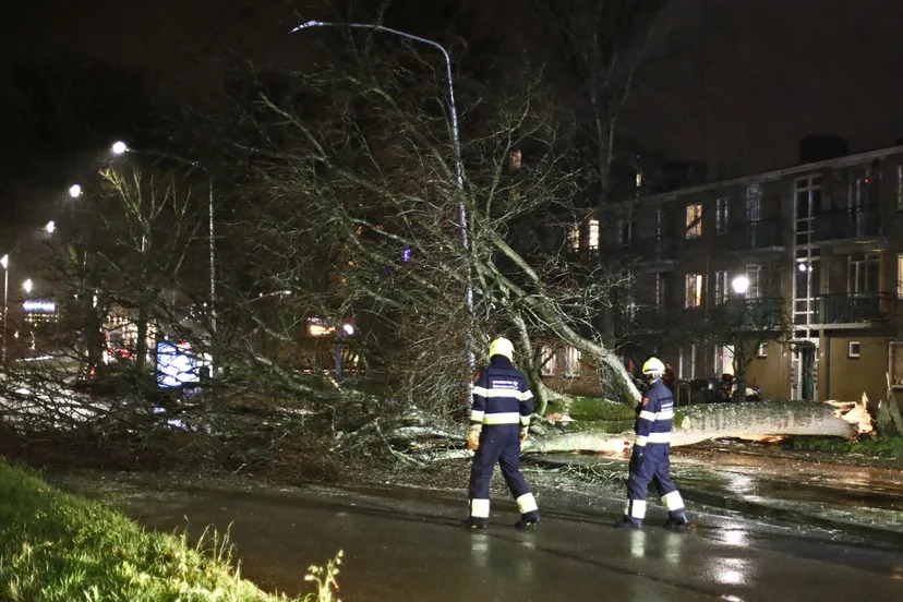 20200209202952 mg 9630